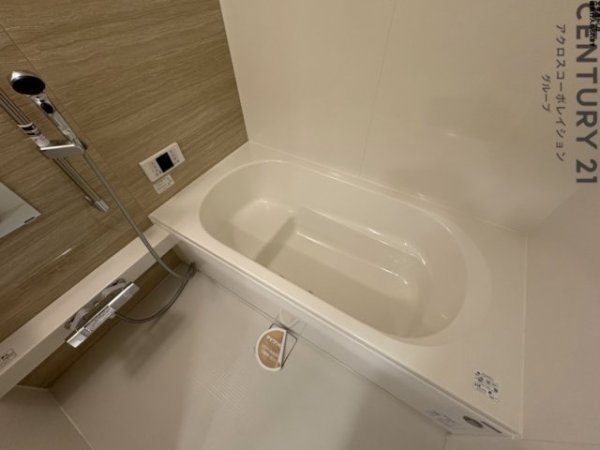 カリーノディモーラ