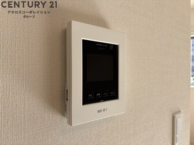 プラシッド　ピュール（placidepure）