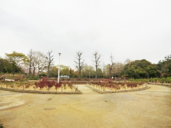 ウエストハイツ(大井戸公園)