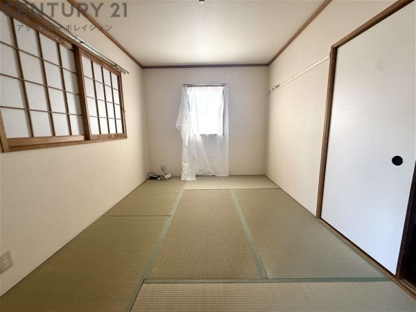 ドルフ甲子園