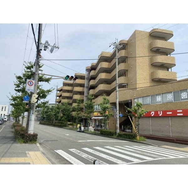 マブランシェット弦月