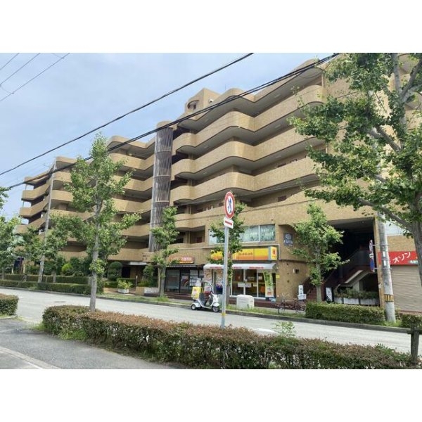 マブランシェット弦月