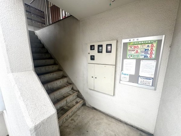 ドミトリー甲子園