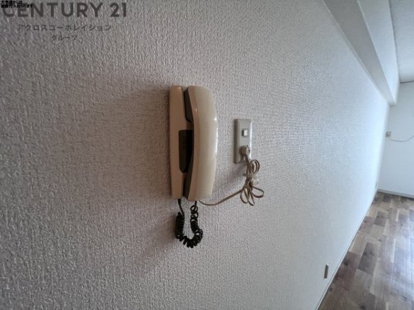 れじでんしあ門戸