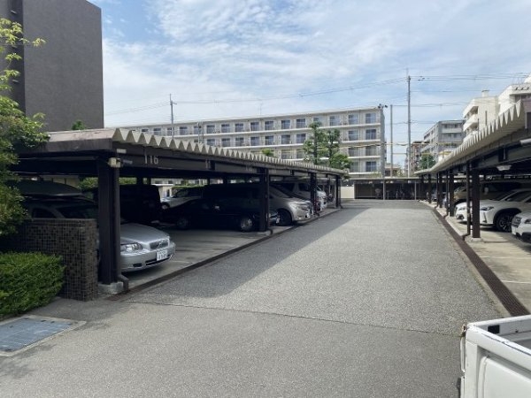 メゾン甲子園