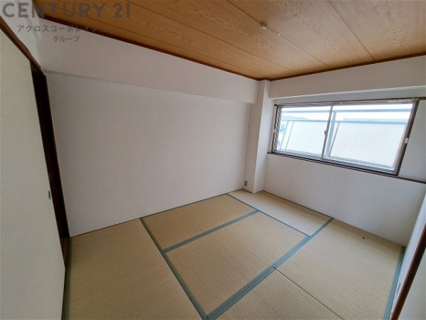 パインリーフ甲子園