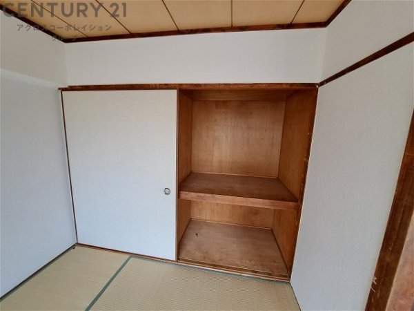 パインリーフ甲子園