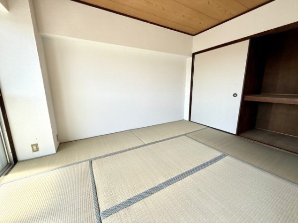 パインリーフ甲子園