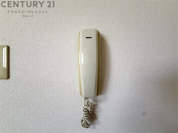 ドルチェハイム