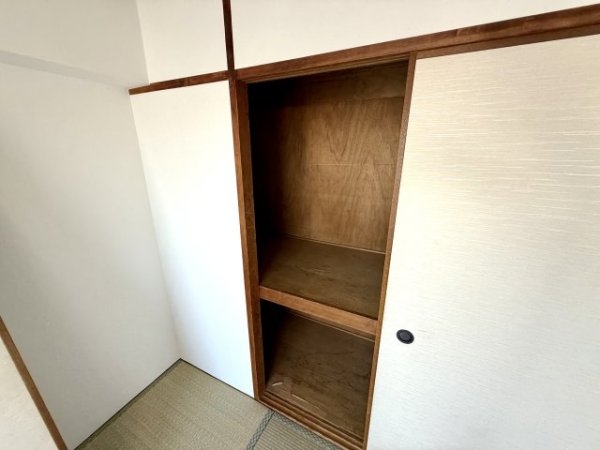 パインリーフ甲子園
