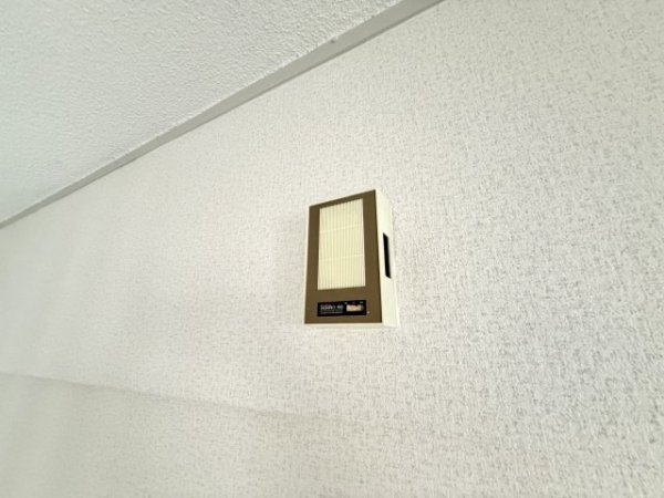 パインリーフ甲子園
