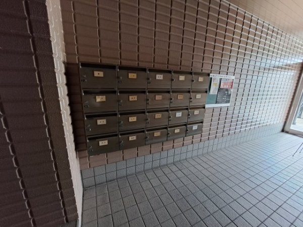 ルピナス