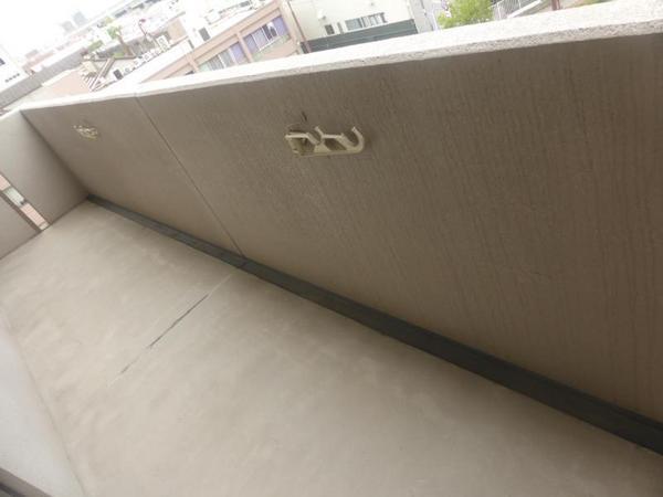 ラフィーネフォレスタ