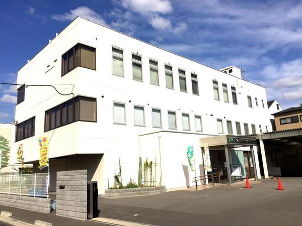 グランドール杉の木(JAグリーン大阪本店)