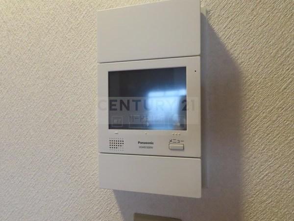 グランドール杉の木