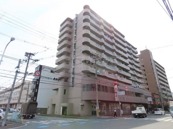 グランドール杉の木