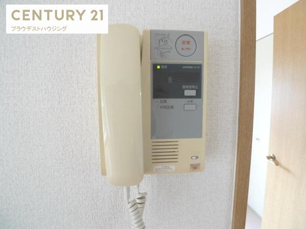セレンディップ鷺洲
