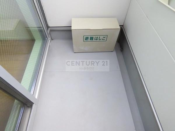 バルーンフラワー