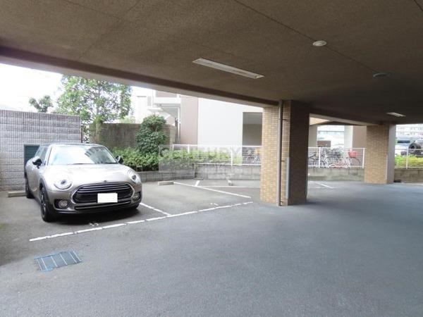 ルダピリスコスギ