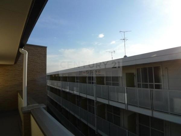 ＩＢ　ＨＡＬ