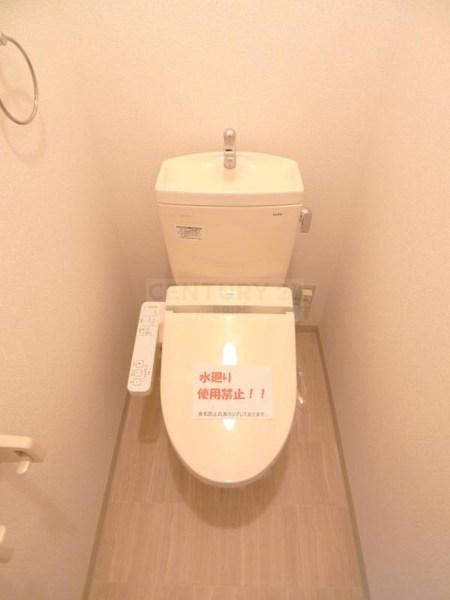 アンプルールフェール今津