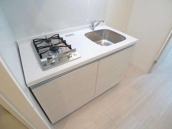 スプランディッドⅢ(キッチン)