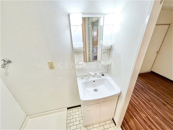 坂田マンション(洗面台・洗面所)