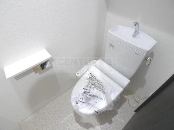 エヌエムトラントシス