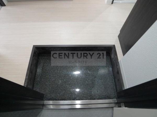 エヌエムトラントシス