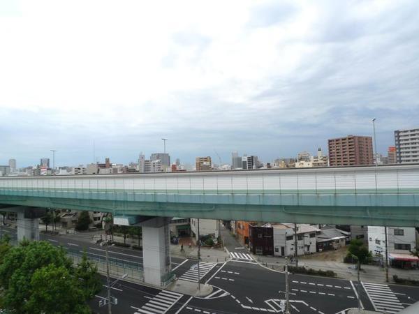 ハナミズキ福島