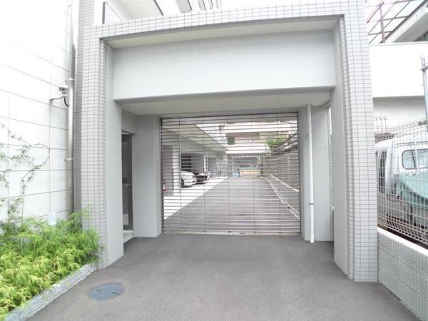 ハナミズキ福島