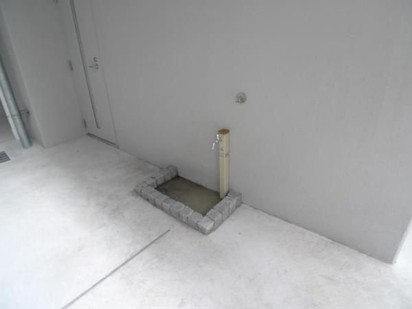 ハナミズキ福島