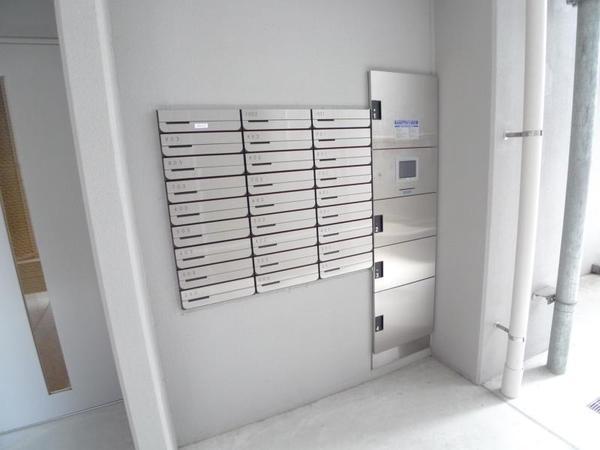 ハナミズキ福島