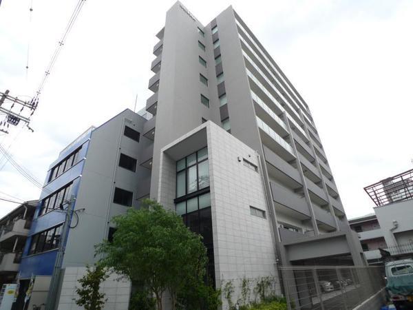 ハナミズキ福島