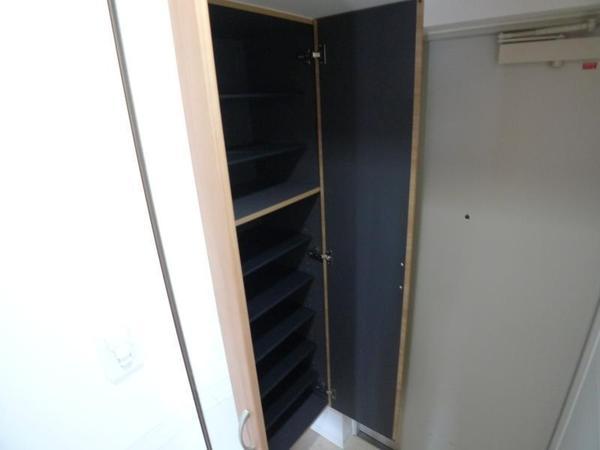 ハナミズキ福島