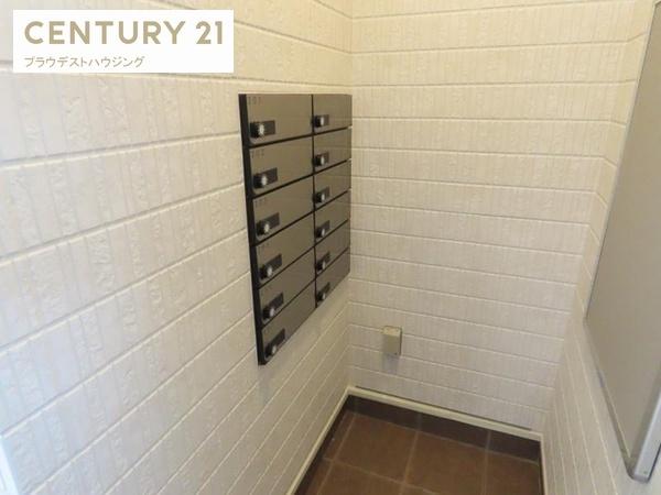 カシータ・ソル