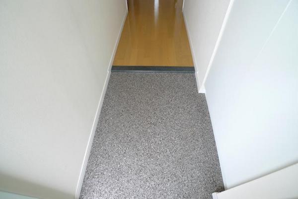 フジーディア・ミュ・リッヒ