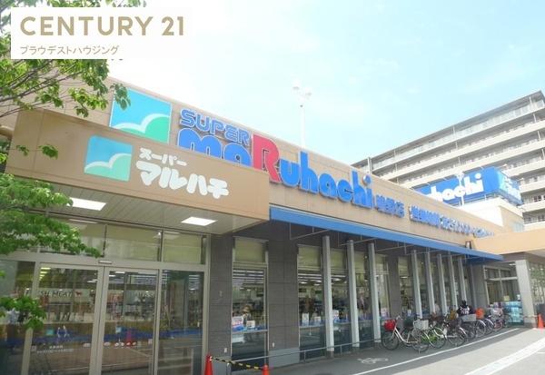 Ｌｕｘｅ京橋Ⅱ(スーパーマルハチ鴫野店)