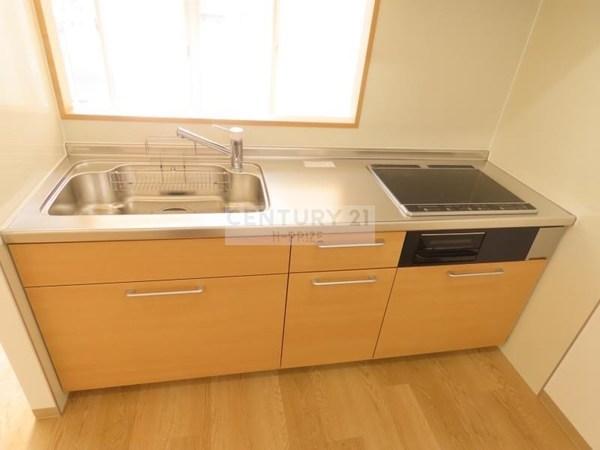 カサデルシグロ