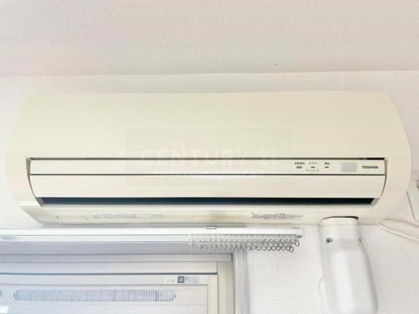 グレイスパルコート