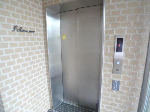 フェビエンローズ