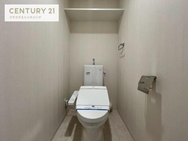 ハナミズキ福島