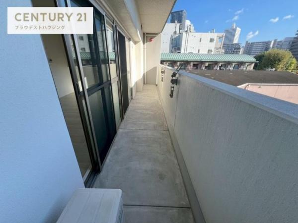 ハナミズキ福島