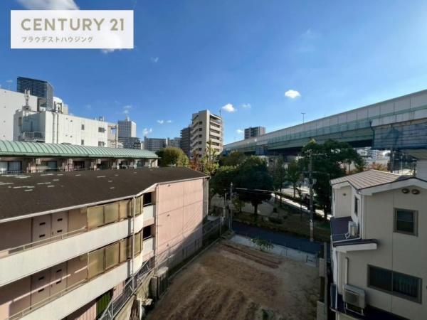 ハナミズキ福島