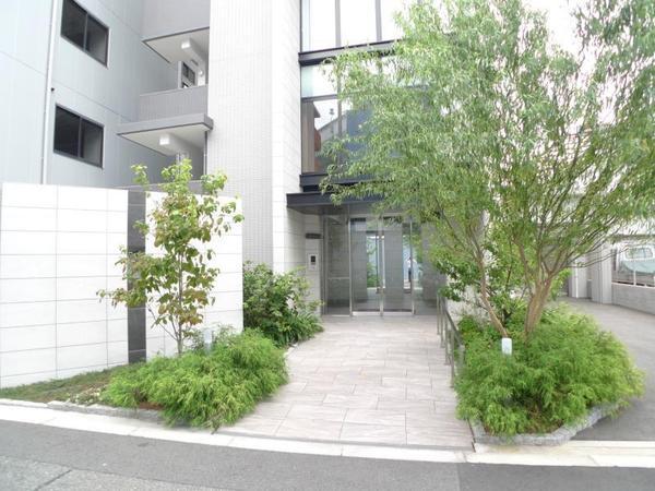 ハナミズキ福島