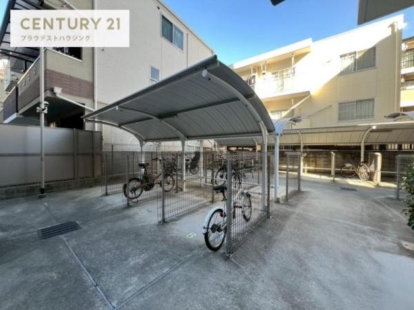 ハナミズキ福島