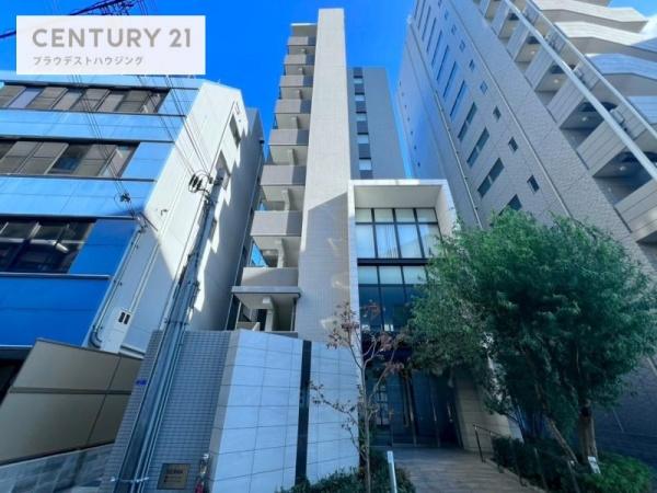 ハナミズキ福島