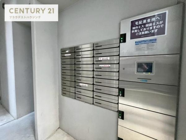 ハナミズキ福島