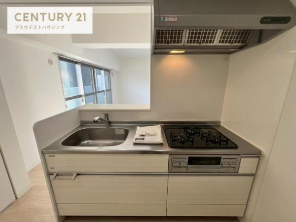 ハナミズキ福島