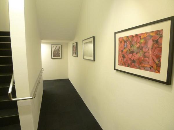 Ｗ.Ｏ.Ｂ.ＮＩＳＨＩＵＭＥＤＡ